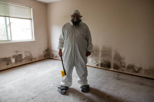 Salisbury, MO Mold Inspection, Removal & Remediation Company